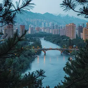 西北大学左曦简介